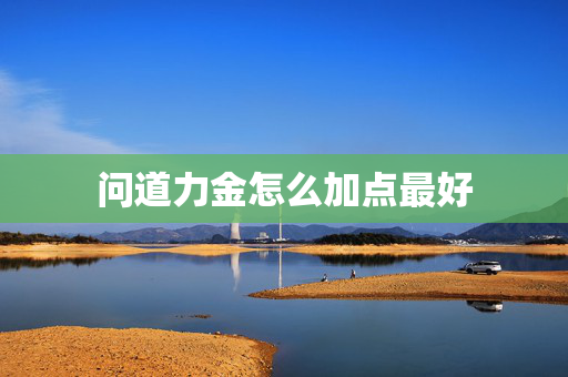 问道力金怎么加点最好