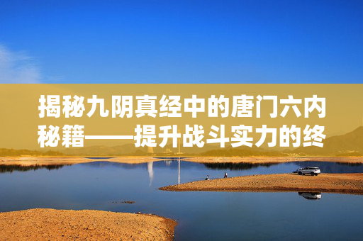 揭秘九阴真经中的唐门六内秘籍——提升战斗实力的终极指南