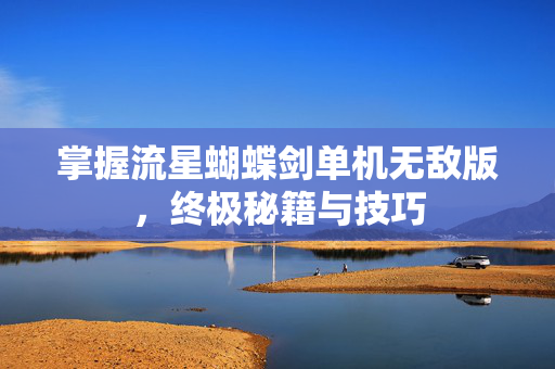 掌握流星蝴蝶剑单机无敌版，终极秘籍与技巧