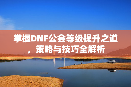 掌握DNF公会等级提升之道，策略与技巧全解析