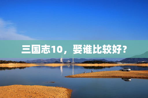 三国志10，娶谁比较好？