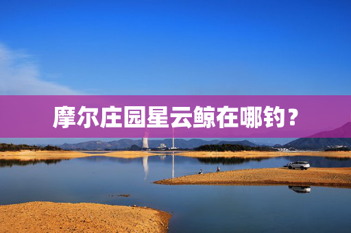摩尔庄园星云鲸在哪钓？