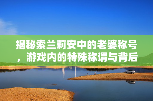 揭秘索兰莉安中的老婆称号，游戏内的特殊称谓与背后的故事
