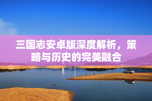 三国志安卓版深度解析，策略与历史的完美融合