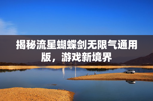 揭秘流星蝴蝶剑无限气通用版，游戏新境界