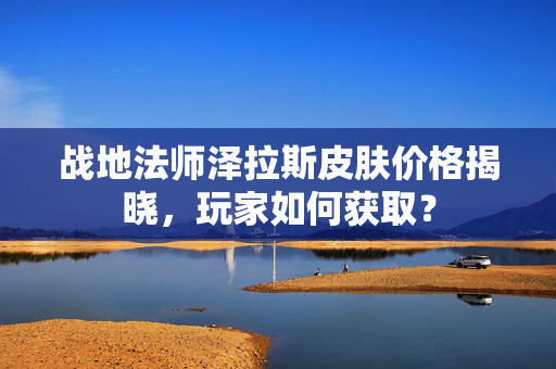 战地法师泽拉斯皮肤价格揭晓，玩家如何获取？