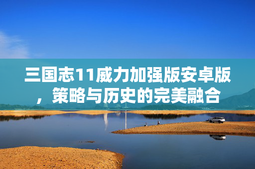 三国志11威力加强版安卓版，策略与历史的完美融合