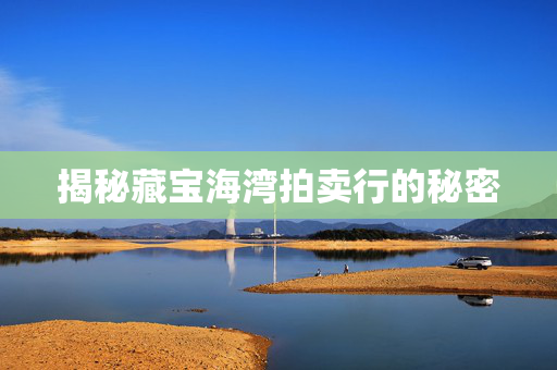 揭秘藏宝海湾拍卖行的秘密