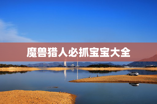 魔兽猎人必抓宝宝大全