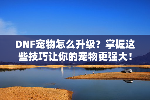 DNF宠物怎么升级？掌握这些技巧让你的宠物更强大！