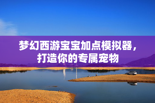 梦幻西游宝宝加点模拟器，打造你的专属宠物