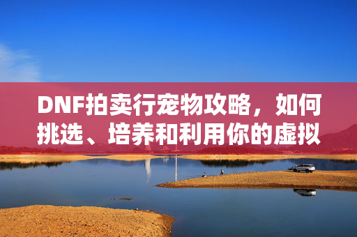DNF拍卖行宠物攻略，如何挑选、培养和利用你的虚拟伙伴