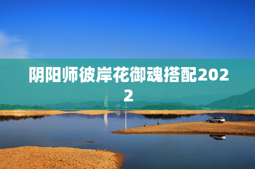 阴阳师彼岸花御魂搭配2022