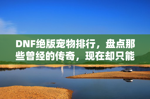 DNF绝版宠物排行，盘点那些曾经的传奇，现在却只能在回忆中回味