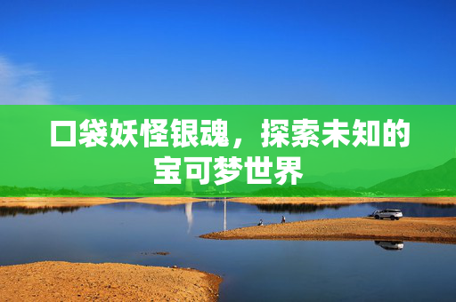 口袋妖怪银魂，探索未知的宝可梦世界