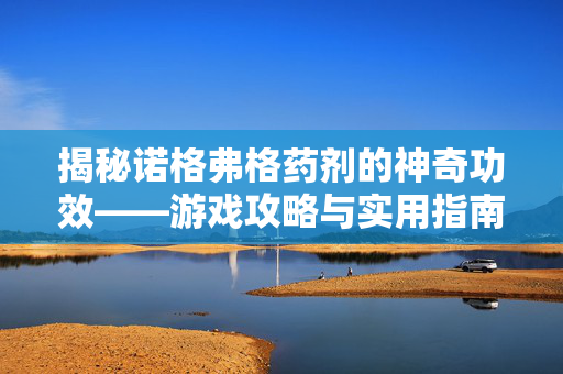 揭秘诺格弗格药剂的神奇功效——游戏攻略与实用指南