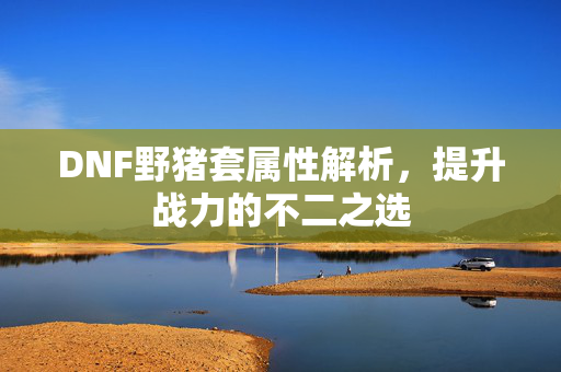 DNF野猪套属性解析，提升战力的不二之选