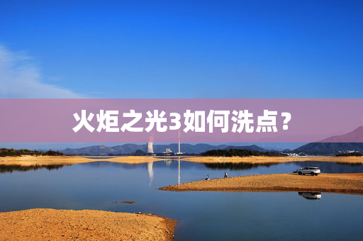 火炬之光3如何洗点？