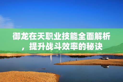 御龙在天职业技能全面解析，提升战斗效率的秘诀