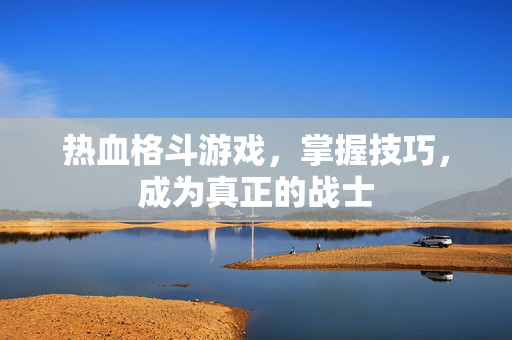 热血格斗游戏，掌握技巧，成为真正的战士