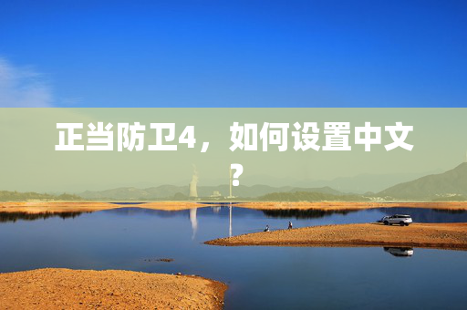 正当防卫4，如何设置中文？