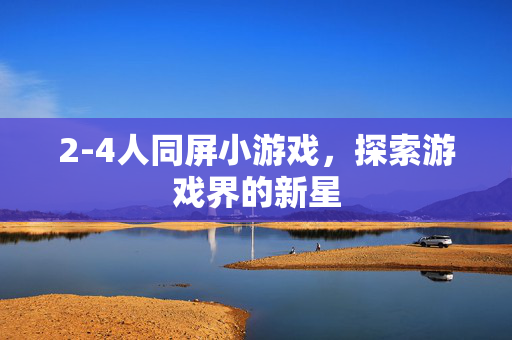 2-4人同屏小游戏，探索游戏界的新星