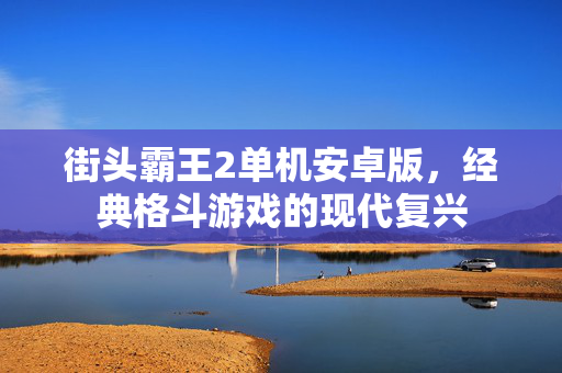 街头霸王2单机安卓版，经典格斗游戏的现代复兴