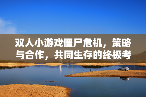 双人小游戏僵尸危机，策略与合作，共同生存的终极考验