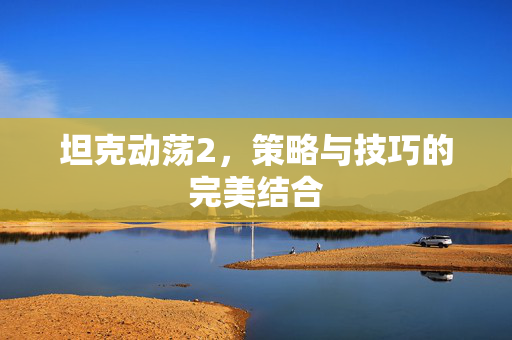 坦克动荡2，策略与技巧的完美结合