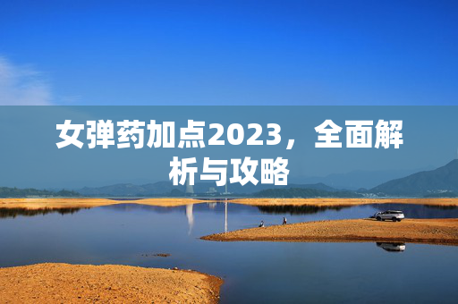 女弹药加点2023，全面解析与攻略