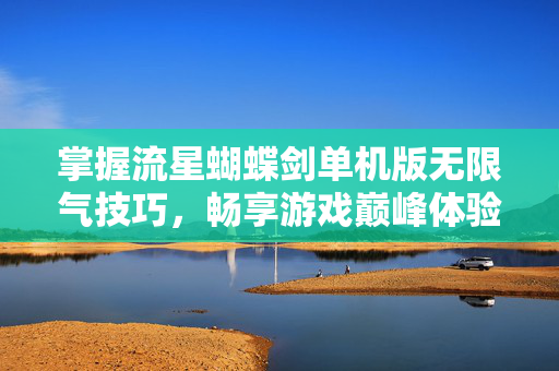 掌握流星蝴蝶剑单机版无限气技巧，畅享游戏巅峰体验