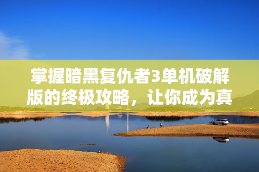 掌握暗黑复仇者3单机破解版的终极攻略，让你成为真正的复仇者！