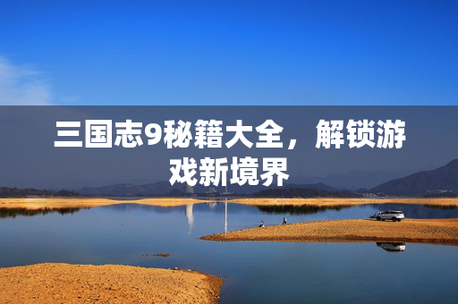 三国志9秘籍大全，解锁游戏新境界