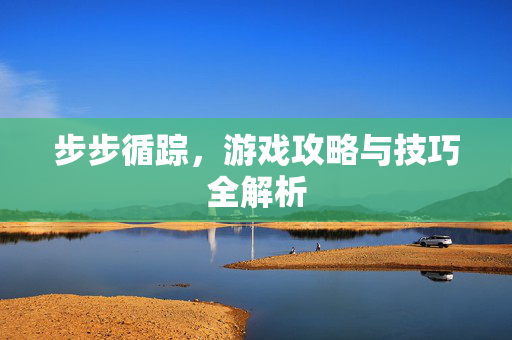 步步循踪，游戏攻略与技巧全解析