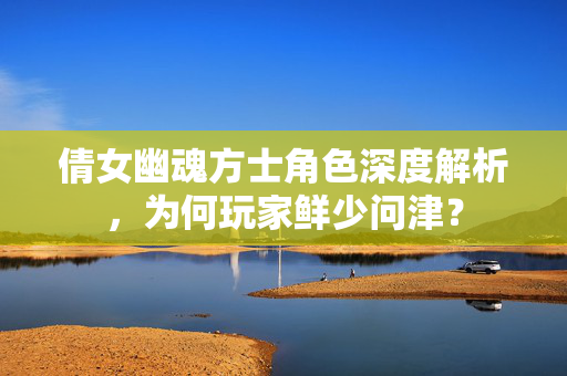 倩女幽魂方士角色深度解析，为何玩家鲜少问津？