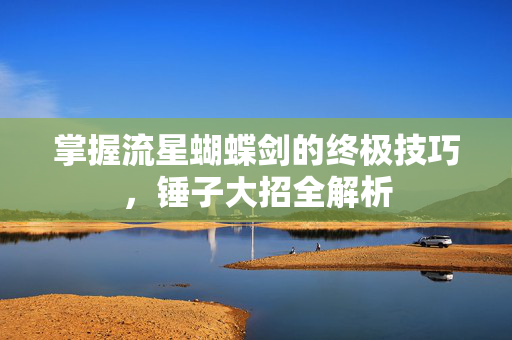 掌握流星蝴蝶剑的终极技巧，锤子大招全解析