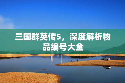 三国群英传5，深度解析物品编号大全