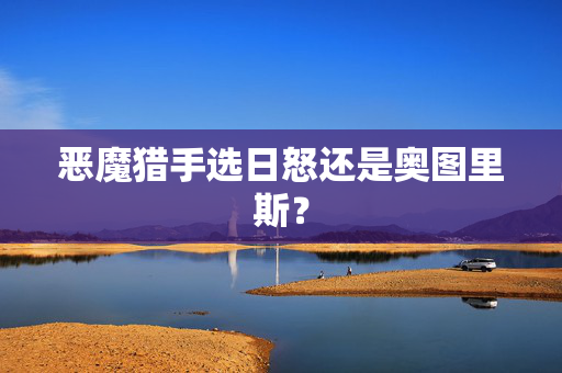 恶魔猎手选日怒还是奥图里斯？