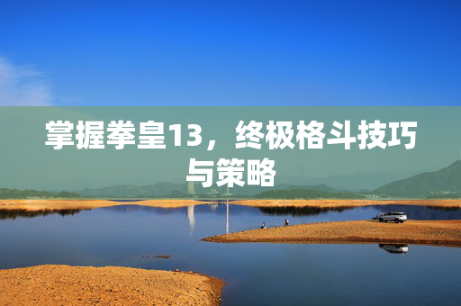 掌握拳皇13，终极格斗技巧与策略