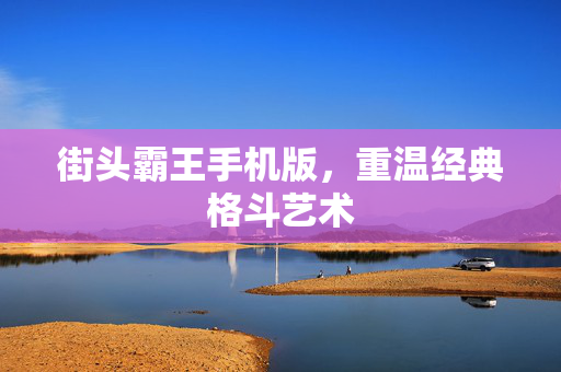 街头霸王手机版，重温经典格斗艺术
