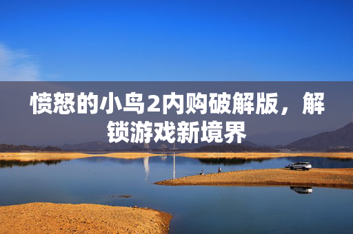 愤怒的小鸟2内购破解版，解锁游戏新境界