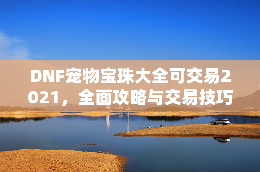 DNF宠物宝珠大全可交易2021，全面攻略与交易技巧