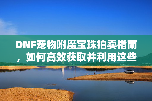 DNF宠物附魔宝珠拍卖指南，如何高效获取并利用这些珍贵资源