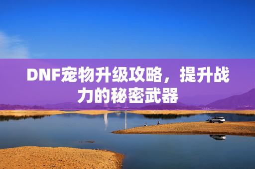 DNF宠物升级攻略，提升战力的秘密武器