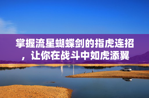掌握流星蝴蝶剑的指虎连招，让你在战斗中如虎添翼