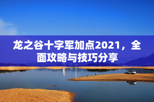 龙之谷十字军加点2021，全面攻略与技巧分享
