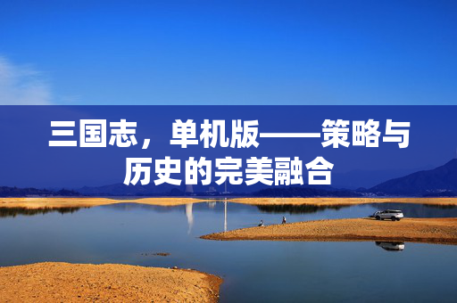 三国志，单机版——策略与历史的完美融合