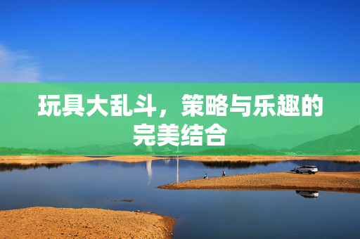 玩具大乱斗，策略与乐趣的完美结合