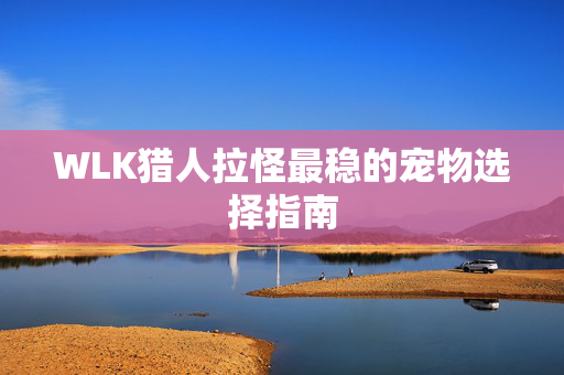 WLK猎人拉怪最稳的宠物选择指南