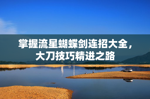 掌握流星蝴蝶剑连招大全，大刀技巧精进之路